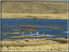 foto Lago Titicaca